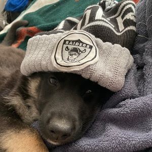 Meet your Posher, Melvin